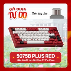 Bàn phím cơ không dây AKKO 5075B Plus World Tour Viet Nam RGB Hotswap (Akko Sw)