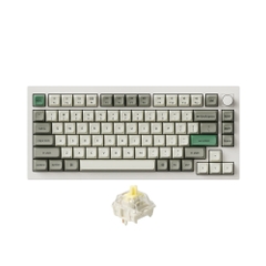 Bàn phím cơ không dây Keychron Q1 Max RGB Hotswap (Gateron Sw)