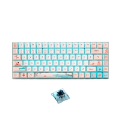 Bàn phím cơ không dây Rapoo MT510 Pro Multi Mode (Silver Sw)