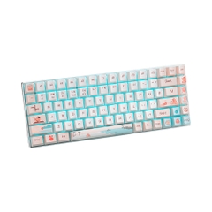 Bàn phím cơ không dây Rapoo MT510 Pro Multi Mode (Silver Sw)