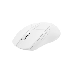 Chuột Gaming không dây Rapoo V300SE