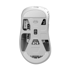 Chuột không dây Pulsar Xlite Wireless V2