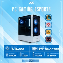 PC Gaming Esports i5-3060 HERO (i5-12400F, RTX 3060 OC 12GB, Ram 32GB, SSD 500GB, 650W)