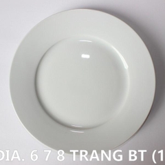 Đĩa Trắng BT (6 7 8 9)