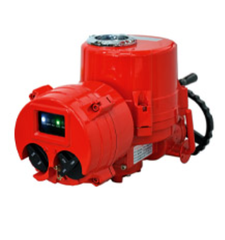 Bộ điều khiển trực tiếp i-tock ICM1/ICM2