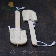 [Vi Lâm] Cây Cọ Rửa Ly Cốc Bằng Xơ Mướp 2 Lá (Thay Được)- Loofah Kitchen Cleaning Brush With Wooden [Xanh Suốt]