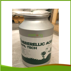 Gibberellic Acid 90% (GA3 90%)