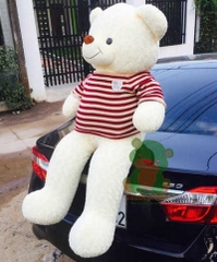 GB9 Gấu bông Teddy trắng