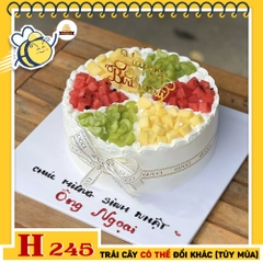 Bánh kem sinh nhật H245 trái cây chia ô sang chảnh