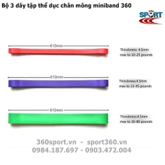 Bộ 3 dây đàn hồi tập mông chân miniband 360