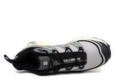 Salomon XT-6 Expanse 'Alloy Quiet Shade'