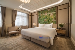 Bộ chăn ga gối trắng trơn 50% cotton T200 VP200T  Đệm Việt Pháp