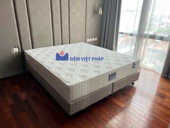 Divan kệ giường gỗ 28cm vải xốp DV02 Đệm Việt Pháp