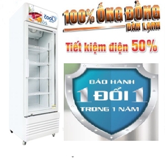 TỦ MÁT TheCOOL DENISE S250