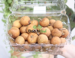 Hộp nhựa đựng trái cây 500g