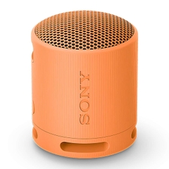 Loa Bluetooth Mini Sony SRS-XB100, Bass Mạnh Mẽ - Mẫu Mới 2023