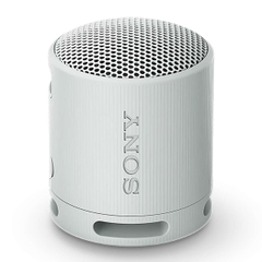 Loa Bluetooth Mini Sony SRS-XB100, Bass Mạnh Mẽ - Mẫu Mới 2023