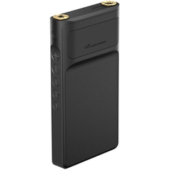 Máy Nghe Nhạc Cao Cấp Sony NW-WM1AM2