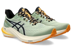 Giày chạy bộ nam ASICS GT-2000 12 TR 1011B775.250