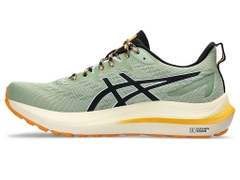 Giày chạy bộ nam ASICS GT-2000 12 TR 1011B775.250