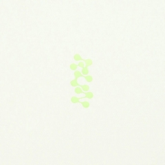 Áo T-shirt Li-Ning Nữ ATSU186-1V