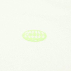 Áo T-shirt Li-Ning Nữ ATSU186-1V