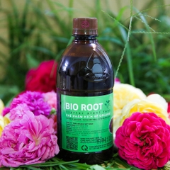 Chế phẩm kích rễ organic Bio Root thế hệ mới – phân bón không thể thiếu cho cây