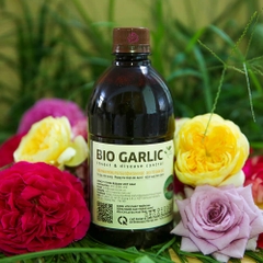 Chế phẩm phòng trừ sâu bệnh sinh học thế hệ mới Bio Garlic từ tỏi an toàn và hiệu quả cho hoa hồng