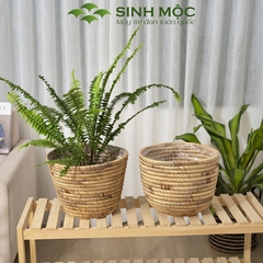 Chậu trồng cây, giỏ lục bình, decor văn phòng, trang trí nhà cửa, giỏ đựng đồ đa năng Sinh Mộc - M1023