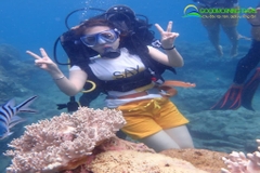 Tour Nha Trang 4 ngày 3 đêm giá rẻ