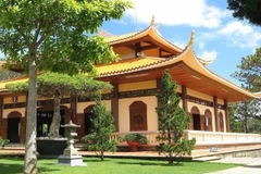 Tour Nha Trang - Đà Lạt 3 ngày 2 đêm