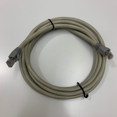 Dây Nhẩy UTP CAT5E Ethernet Patch Cord RJ50 to RJ50 10 Pin Cable Grey Length 3M