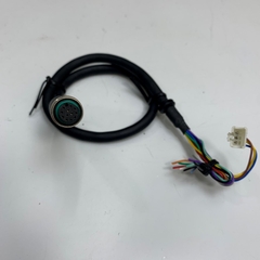 Cáp Điều Khiển Cable M12 A-Code 12 Pin Female to 12 Core Bare Wire Open End + 3 Pin Female Molex Connector Dài 0.5 Meter 1.5ft For Sensor Actuator Connector