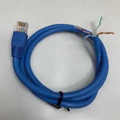 Dây Nhẩy COMMSCOPE AMP CAT6 U/UTP PVC E138034 Connector RJ45 to 8 Core Bare Wire Open End Dài 0.9M Cable 24AWG 4PR OD Ø 6.0mm 75°C Blue