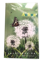 Ảo Hoá - Hermann Hesse - Thích Nữ Trí Hải dịch Việt