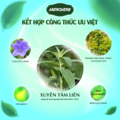 Thảo dược  Xuyên Tâm Liên