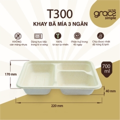 Khay hộp cơm 3 ngăn 800ml (10 hộp / túi)