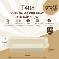 Khay 750ml (10 hộp / túi)