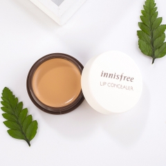 Son Che Khuyết Điểm Môi Innisfree Tapping Lip Concealer