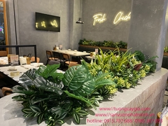 Trang trí, decor không gian cây hoa lá tại nhà hàng Cơm gà Hải Nam - Hà Nội