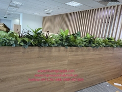 Trang trí cây lá nhân tạo trong bục gỗ tại văn phòng toà nhà Handico Phạm Hùng - Hà Nội