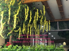 Trang trí hệ thống cây xanh tại nhà điều hành xe khách Sơn Hà - Hải Vân