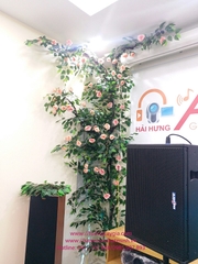 Trang trí Cây hồng hoa tại Công ty thiết bị âm thanh ánh sáng