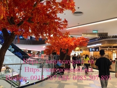 Rừng lá phong tại siêu thị Giga mall Thủ Đức - Tp HCM