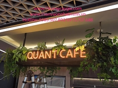 Trang trí  cây lá rủ tại nhà hàng QUANT CAFE tầng 23 Tòa nhà Capital Place Hà Nội