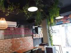 Trang trí dây leo uốn cho nhà hàng cà phê tại Kì Đồng - quận 1 Tp HCM