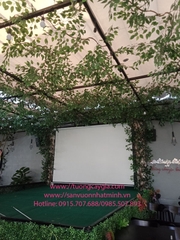 Trang trí trần nhà bằng dây leo rừng tại nhà hàng Vua Cua