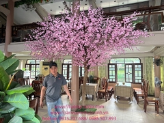 Thi công cây hoa anh đào tại Bắc Giang - Nhà hàng ăn uống