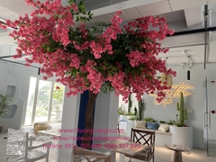 Thi công cây hoa giấy tại showroom Eurotile Quảng Ninh