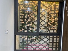 Cây hoa hồng leo khu giếng trời - Văn Phú - Hà Đông - Hà Nội